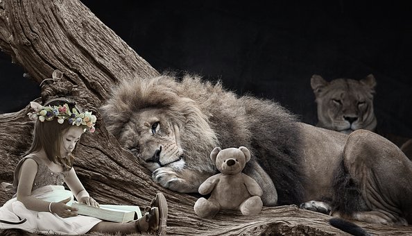 lions with little girl/teddy bear